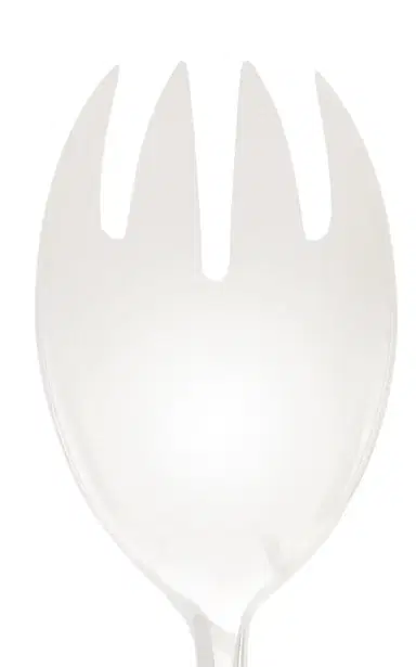 Alain Saint-Joanis Majestic Boxwood Silver-Plated Salad Set - Metallic | Thumbnail 2 Alain Saint-Joanis Majestic Boxwood Silver-Plated Salad Set - Metallic | Thumbnail 2