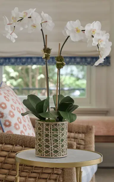 Diane James Designs White Phalaenopsis Orchid - White | Thumbnail 3 Diane James Designs White Phalaenopsis Orchid - White | Thumbnail 3
