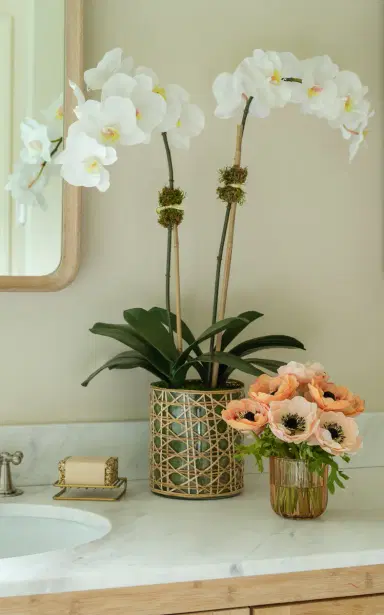 Diane James Designs White Phalaenopsis Orchid - White | Thumbnail 4 Diane James Designs White Phalaenopsis Orchid - White | Thumbnail 4