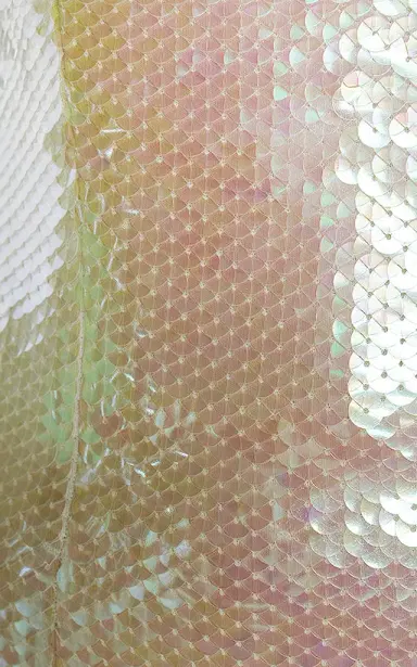 Bottega Veneta Sequin Bustier Midi Dress | Thumbnail 5 Bottega Veneta Sequin Bustier Midi Dress | Thumbnail 5