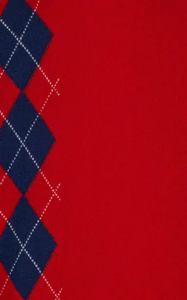 Miu Miu Argyle Cashmere Sweater | Thumbnail 11 Miu Miu Argyle Cashmere Sweater | Thumbnail 11