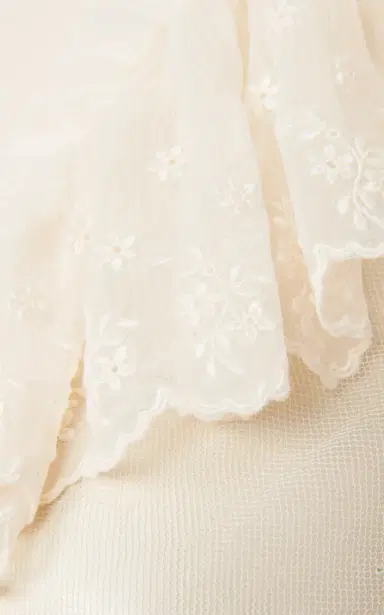 Chloé Ruffled Embroidered Lace Top | Thumbnail 9 Chloé Ruffled Embroidered Lace Top | Thumbnail 9