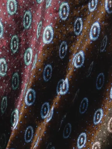 Dries Van Noten Draped Printed Velvet Maxi Dress | Thumbnail 4 Dries Van Noten Draped Printed Velvet Maxi Dress | Thumbnail 4