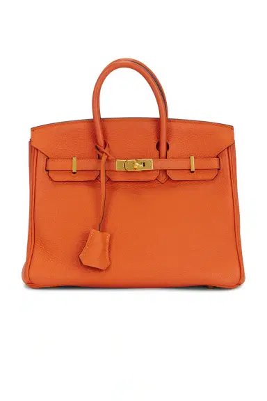 FWRD Renew Hermes Chevre Birkin 25 Handbag | Thumbnail 3 FWRD Renew Hermes Chevre Birkin 25 Handbag | Thumbnail 3