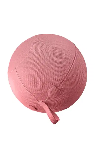 bala Balance Ball | Thumbnail 1 bala Balance Ball | Thumbnail 1