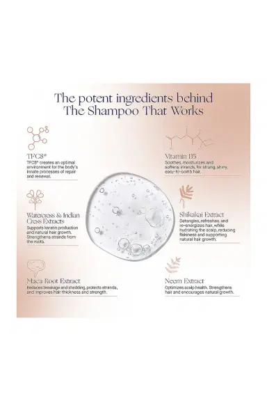 Augustinus Bader The Shampoo | Thumbnail 4 Augustinus Bader The Shampoo | Thumbnail 4