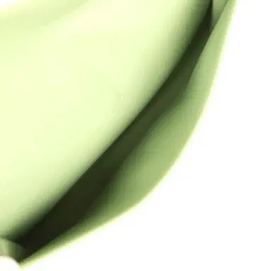 HERMÈS Hermes Jige Elan 29 Vert Criquet Evercolor | Thumbnail 8 HERMÈS Hermes Jige Elan 29 Vert Criquet Evercolor | Thumbnail 8