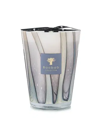 Baobab Collection Woods Broceliande Scented Candle - Grey Small | Thumbnail 1 Baobab Collection Woods Broceliande Scented Candle - Grey Small | Thumbnail 1