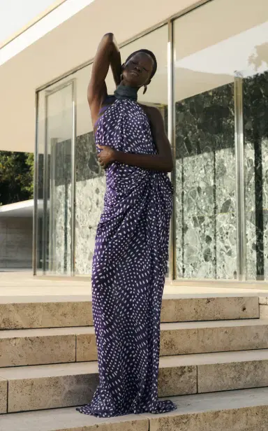 Dries Van Noten Devira Printed Georgette Gown | Thumbnail 9 Dries Van Noten Devira Printed Georgette Gown | Thumbnail 9