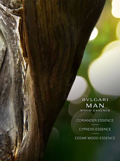 BVLGARI Men's Man Wood Essence Eau de Parfum | Thumbnail 3 BVLGARI Men's Man Wood Essence Eau de Parfum | Thumbnail 3