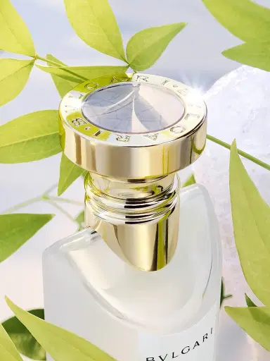 BVLGARI Eau Parfumée Thé Blanc Eau de Toilette 5 oz | Thumbnail 3 BVLGARI Eau Parfumée Thé Blanc Eau de Toilette 5 oz | Thumbnail 3