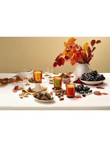 Acqua di Parma Nocciola Scented Candle | Thumbnail 4 Acqua di Parma Nocciola Scented Candle | Thumbnail 4