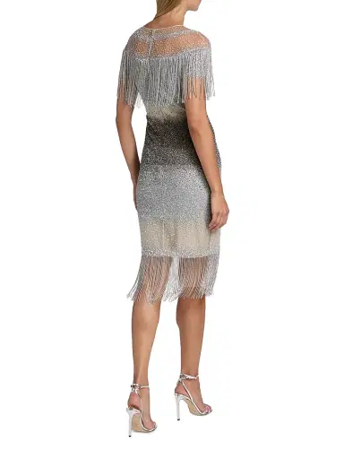 PAMELLA ROLAND Women's Signature Sequined Fringe Cocktail Dress - Silver - Size 12 | Thumbnail 5 PAMELLA ROLAND Women's Signature Sequined Fringe Cocktail Dress - Silver - Size 12 | Thumbnail 5