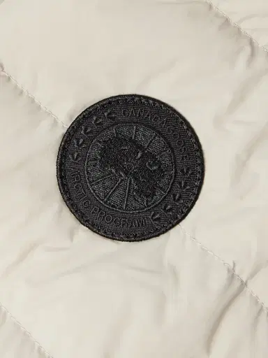 Canada Goose Crofton Logo-Appliquéd Quilted Enduraluxe® Hooded Down Jacket - Men | Thumbnail 5 Canada Goose Crofton Logo-Appliquéd Quilted Enduraluxe® Hooded Down Jacket - Men | Thumbnail 5