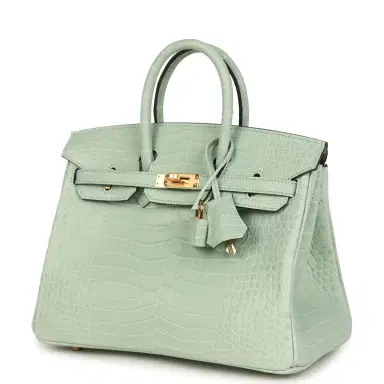 HERMÈS Hermes Birkin 25 Vert D'Eau Matte Porosus Crocodile Gold Hardware | Thumbnail 5 HERMÈS Hermes Birkin 25 Vert D'Eau Matte Porosus Crocodile Gold Hardware | Thumbnail 5