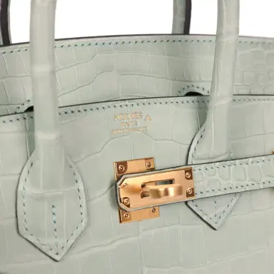 HERMÈS Hermes Birkin 25 Vert D'Eau Matte Porosus Crocodile Gold Hardware | Thumbnail 7 HERMÈS Hermes Birkin 25 Vert D'Eau Matte Porosus Crocodile Gold Hardware | Thumbnail 7