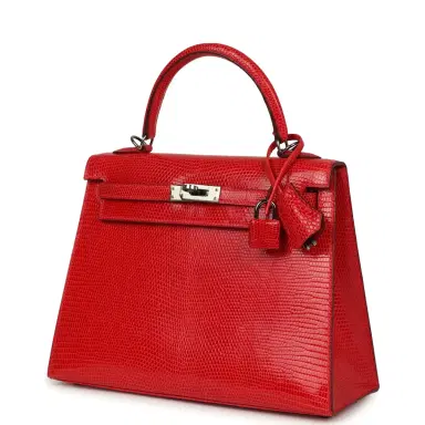 HERMÈS Vintage Hermes Kelly Sellier 25 Rouge Moyen Varanus Niloticus Lizard Ruthenium Hardware | Thumbnail 5 HERMÈS Vintage Hermes Kelly Sellier 25 Rouge Moyen Varanus Niloticus Lizard Ruthenium Hardware | Thumbnail 5