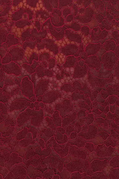 Rowen Rose Lace Long Dress | Thumbnail 5 Rowen Rose Lace Long Dress | Thumbnail 5