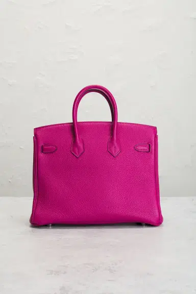 HERMÈS Togo Birkin 25 Handbag | Thumbnail 5 HERMÈS Togo Birkin 25 Handbag | Thumbnail 5