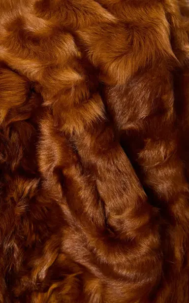 Valentino Garavani Faux Fur Coat | Thumbnail 5 Valentino Garavani Faux Fur Coat | Thumbnail 5