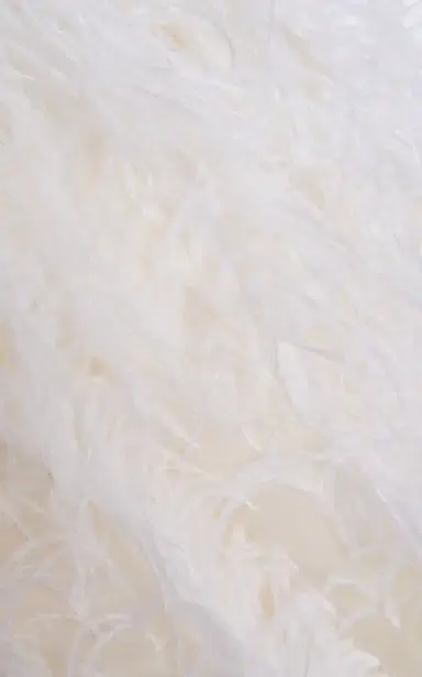 Atelier Prabal Gurung Hand-Feathered Satin-Faced Organza Maxi Dress | Thumbnail 4 Atelier Prabal Gurung Hand-Feathered Satin-Faced Organza Maxi Dress | Thumbnail 4