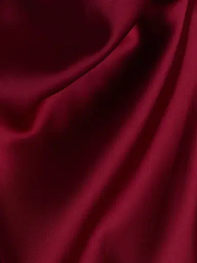 Halston Women's Ada Satin Halter Gown - Ruby - Size 10 | Thumbnail 7 Halston Women's Ada Satin Halter Gown - Ruby - Size 10 | Thumbnail 7
