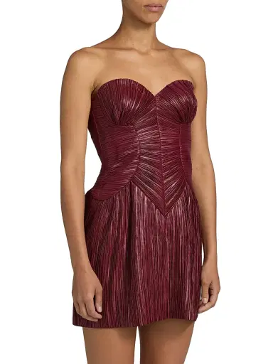 Cult Gaia Women's Nella Pleated Bustier Minidress - Chianti | Thumbnail 4 Cult Gaia Women's Nella Pleated Bustier Minidress - Chianti | Thumbnail 4