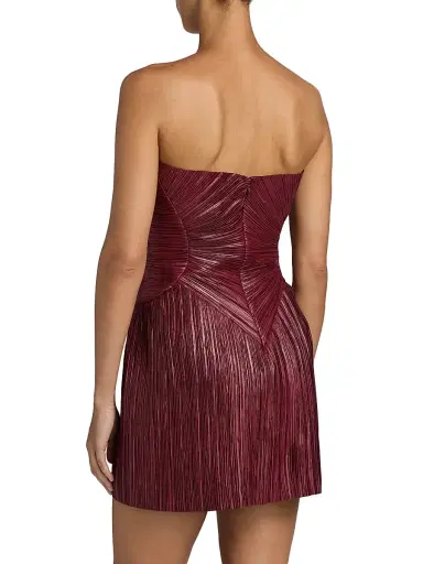 Cult Gaia Women's Nella Pleated Bustier Minidress - Chianti | Thumbnail 5 Cult Gaia Women's Nella Pleated Bustier Minidress - Chianti | Thumbnail 5
