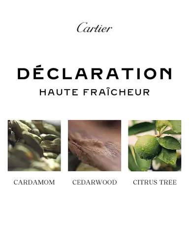 Cartier Declaration Parfum 5 oz | Thumbnail 4 Cartier Declaration Parfum 5 oz | Thumbnail 4