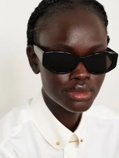 CELINE Eyewear Cat-eye Acetate Sunglasses | Thumbnail 2 CELINE Eyewear Cat-eye Acetate Sunglasses | Thumbnail 2