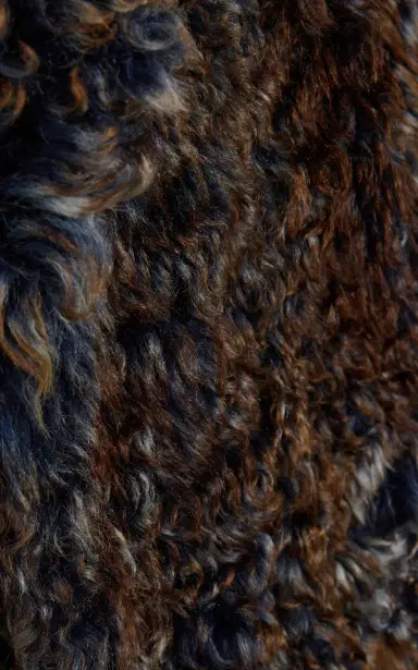 Sanderlak Shearling Coat | Thumbnail 5 Sanderlak Shearling Coat | Thumbnail 5