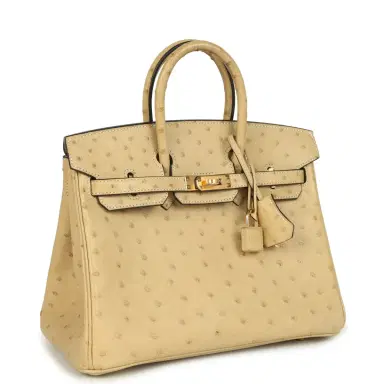 HERMÈS Hermes Birkin 25 Trench Ostrich Gold Hardware | Thumbnail 2 HERMÈS Hermes Birkin 25 Trench Ostrich Gold Hardware | Thumbnail 2