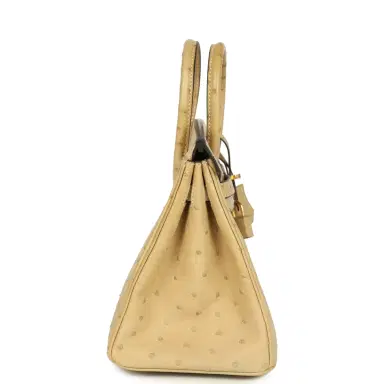 HERMÈS Hermes Birkin 25 Trench Ostrich Gold Hardware | Thumbnail 3 HERMÈS Hermes Birkin 25 Trench Ostrich Gold Hardware | Thumbnail 3