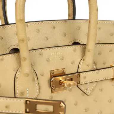 HERMÈS Hermes Birkin 25 Trench Ostrich Gold Hardware | Thumbnail 7 HERMÈS Hermes Birkin 25 Trench Ostrich Gold Hardware | Thumbnail 7