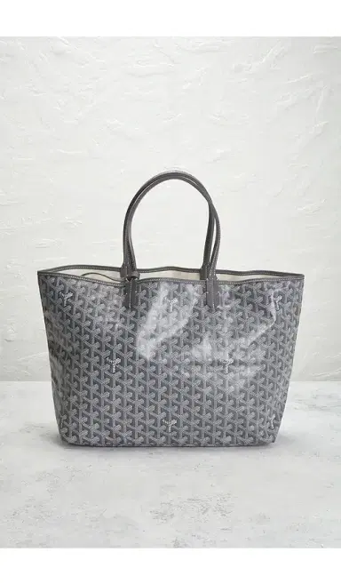 goyard Saint Louis PM Tote Bag | Thumbnail 2 goyard Saint Louis PM Tote Bag | Thumbnail 2