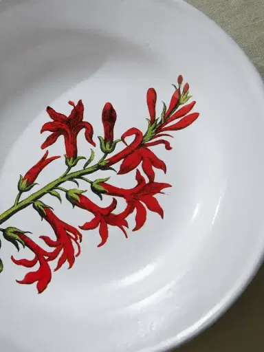 Astier De Villatte + John Derian Printed Ceramic Soup Plate | Thumbnail 3 Astier De Villatte + John Derian Printed Ceramic Soup Plate | Thumbnail 3