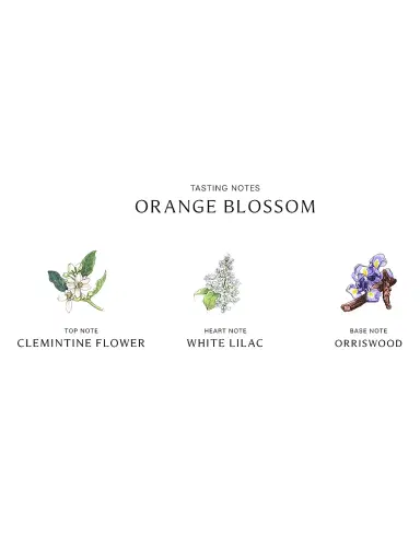 Jo Malone London Orange Blossom Diffuser | Thumbnail 3 Jo Malone London Orange Blossom Diffuser | Thumbnail 3
