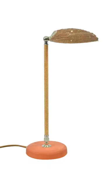 Tennant New York Abalone Task Lamp - Khaki | Thumbnail 1 Tennant New York Abalone Task Lamp - Khaki | Thumbnail 1