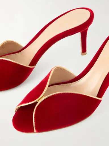 Gianvito Rossi 70 Leather-trimmed Velvet Mules | Thumbnail 4 Gianvito Rossi 70 Leather-trimmed Velvet Mules | Thumbnail 4