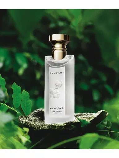 BVLGARI Eau Parfumée Thé Blanc Eau de Toilette 2.5 oz | Thumbnail 4 BVLGARI Eau Parfumée Thé Blanc Eau de Toilette 2.5 oz | Thumbnail 4