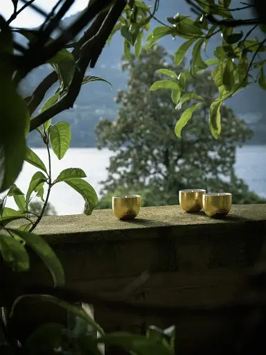 Blueme Gold Holiday 8-Piece Votive Candle Set | Thumbnail 6 Blueme Gold Holiday 8-Piece Votive Candle Set | Thumbnail 6