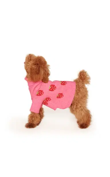 Little Beast The Strawberry Dog Sweater - Print | Thumbnail 4 Little Beast The Strawberry Dog Sweater - Print | Thumbnail 4
