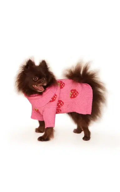 Little Beast The Strawberry Dog Sweater - Print | Thumbnail 5 Little Beast The Strawberry Dog Sweater - Print | Thumbnail 5