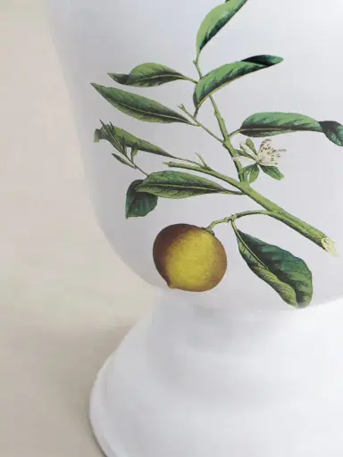 Astier De Villatte + John Derian Ceramic Vase | Thumbnail 3 Astier De Villatte + John Derian Ceramic Vase | Thumbnail 3