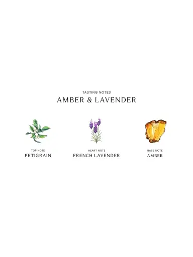 Jo Malone London Amber & Lavender Cologne 3.4 oz | Thumbnail 2 Jo Malone London Amber & Lavender Cologne 3.4 oz | Thumbnail 2