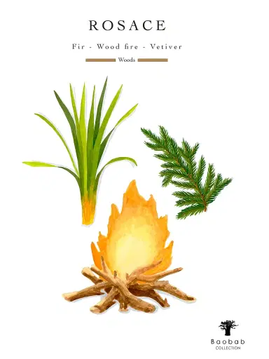 Baobab Collection Rosace Candle Small | Thumbnail 4 Baobab Collection Rosace Candle Small | Thumbnail 4