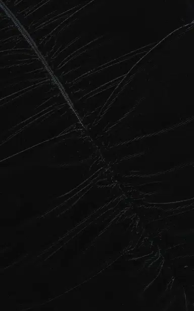 Carolina Herrera Ruched Off-The-Shoulder Stretch Velvet Midi Dress | Thumbnail 6 Carolina Herrera Ruched Off-The-Shoulder Stretch Velvet Midi Dress | Thumbnail 6