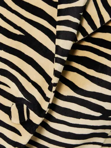 Rabanne Zebra-print Cotton-blend Velvet Blazer | Thumbnail 5 Rabanne Zebra-print Cotton-blend Velvet Blazer | Thumbnail 5