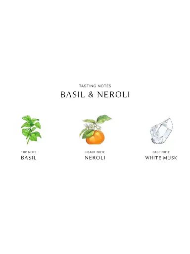 Jo Malone London Basil & Neroli Home Candle | Thumbnail 4 Jo Malone London Basil & Neroli Home Candle | Thumbnail 4
