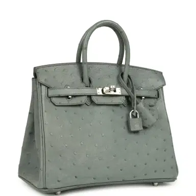 HERMÈS Hermes Birkin 25 Vert Amande Ostrich Palladium Hardware | Thumbnail 2 HERMÈS Hermes Birkin 25 Vert Amande Ostrich Palladium Hardware | Thumbnail 2